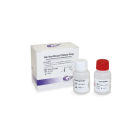 NG Biotech, NGB-CAR-S23-002
