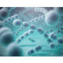 Interlab, INSTAND, 211, Haematology 01 - Blood Cell Count
