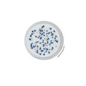 Interlab, Biokar diagnostics, BK204HA