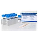 Interlab, Dynamiker Biotechnology (Tianjin) Co., Ltd.,DNK-2105-1, SARS-CoV-2 Ag Rapid Test (Saliva)