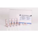 Interlab, Dynamiker Biotechnology (Tianjin) Co., Ltd.,DNK-2105-1, SARS-CoV-2 Ag Rapid Test (Saliva)