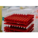 Interlab, SARS-CoV-2-RT-PCR