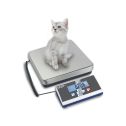 ABT analytical balances