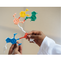 Interlab, INSTAND, 211, Haematology 01 - Blood Cell Count