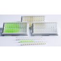 NG Biotech, NGB-CAR-S23-002