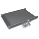 ABT analytical balances