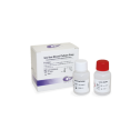 NG Biotech, NGB-CAR-S23-002