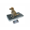 Kategorijos Veterinarinės svarstyklės image